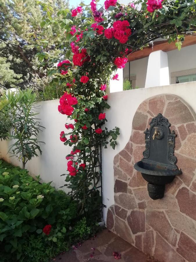 Casa Vacanze Villa Rosa Cala Gonone Zewnętrze zdjęcie