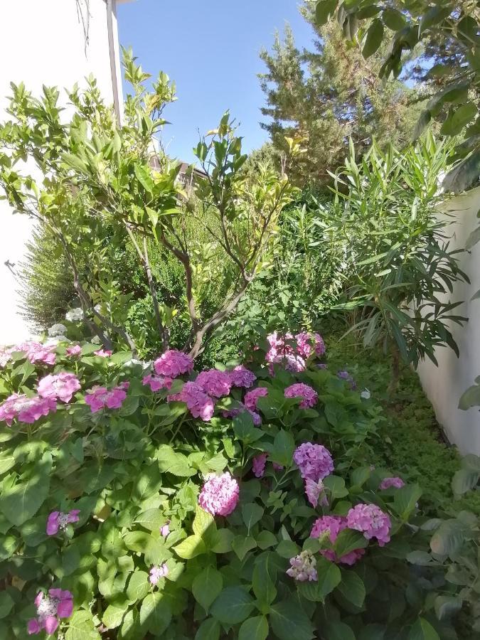 Casa Vacanze Villa Rosa Cala Gonone Zewnętrze zdjęcie