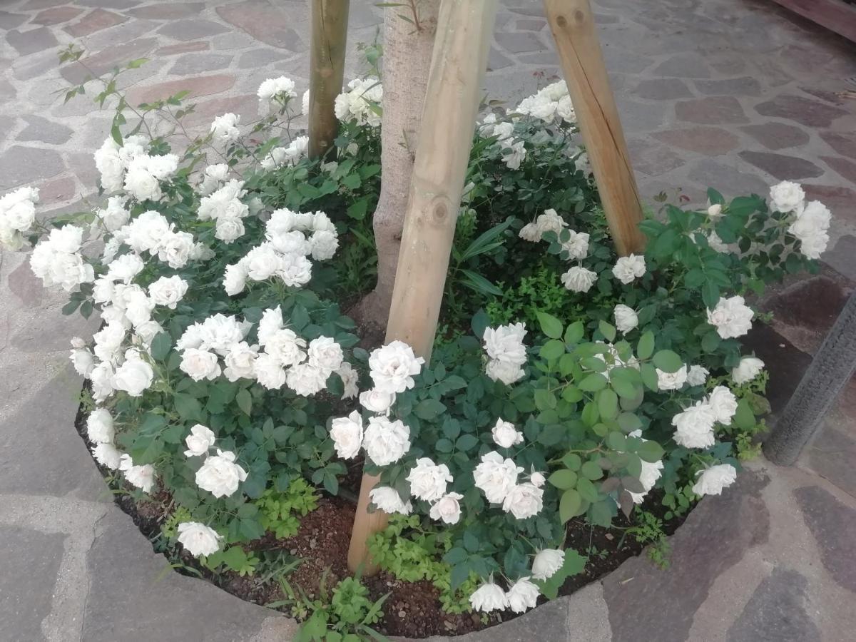 Casa Vacanze Villa Rosa Cala Gonone Zewnętrze zdjęcie